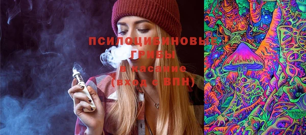 spice Армянск