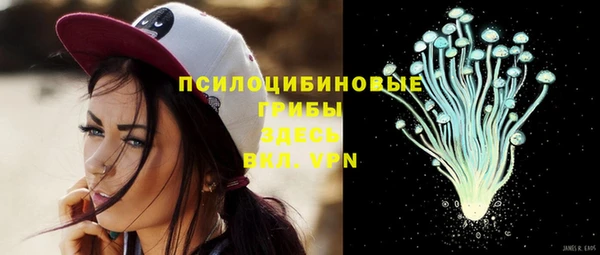 Альфа ПВП Аркадак