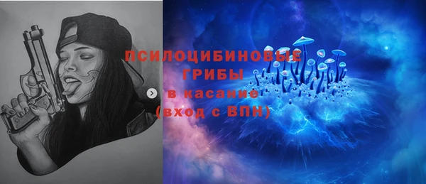 Альфа ПВП Аркадак