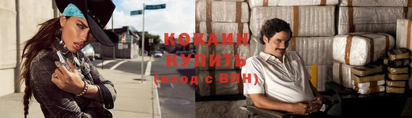 Альфа ПВП Аркадак