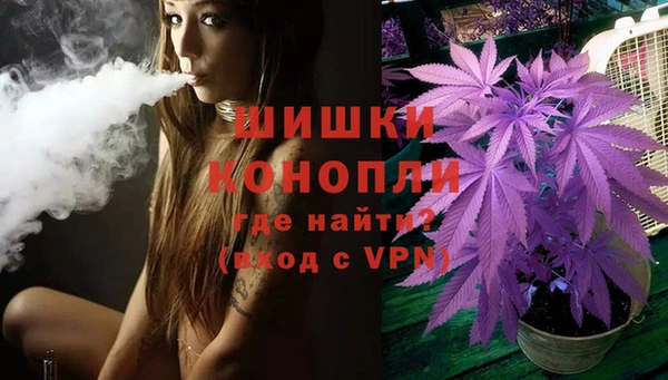 Альфа ПВП Аркадак