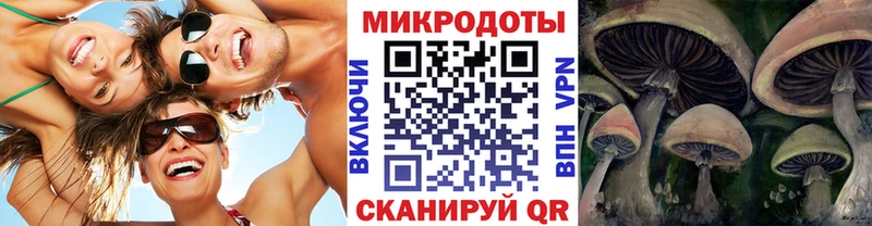 Псилоцибиновые грибы MAGIC MUSHROOMS  наркошоп  Северобайкальск 